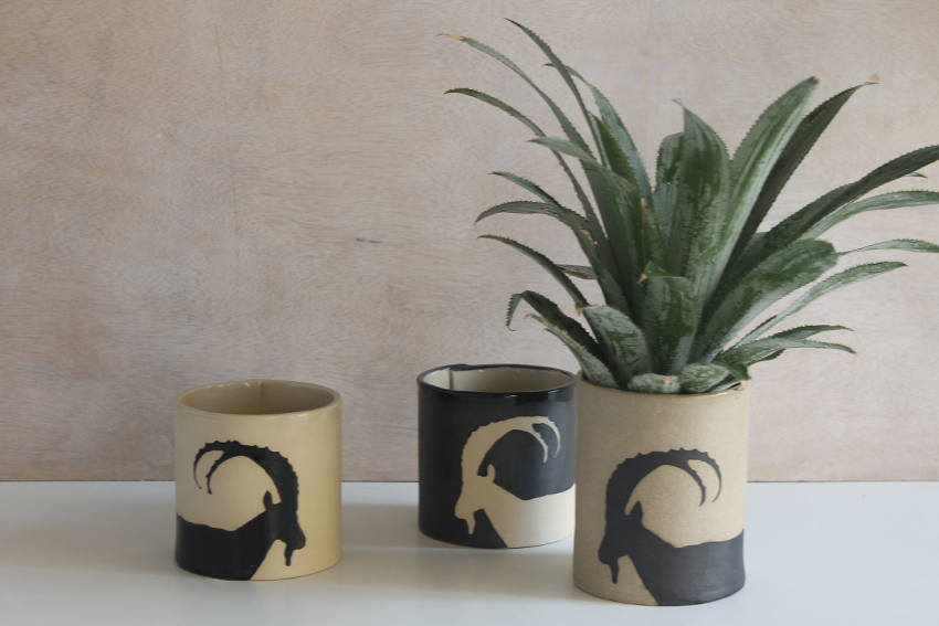 מיכל עגול רב שימושי עשוי מקרמיקה עבודת יד ובתוכו גידול של אננס, עם הדפס של יעל נובי, יכול לשמש להשרשה, לאחסון כלי כתיבה ועוד